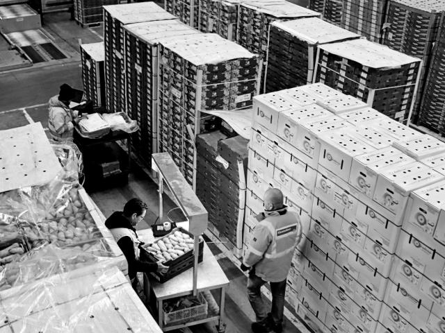 Global Alliance for Trade Facilitation